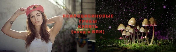 apvp Киренск