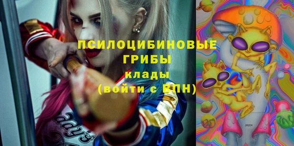 apvp Киренск